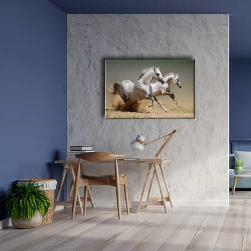9476_5 Kedi Kanvas Tablo